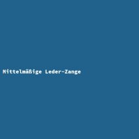 Mittelm&auml;&szlig;ige Leder-Zange